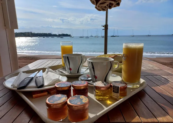 Port Frejus - Tout A Pied - Wifi - Clim
